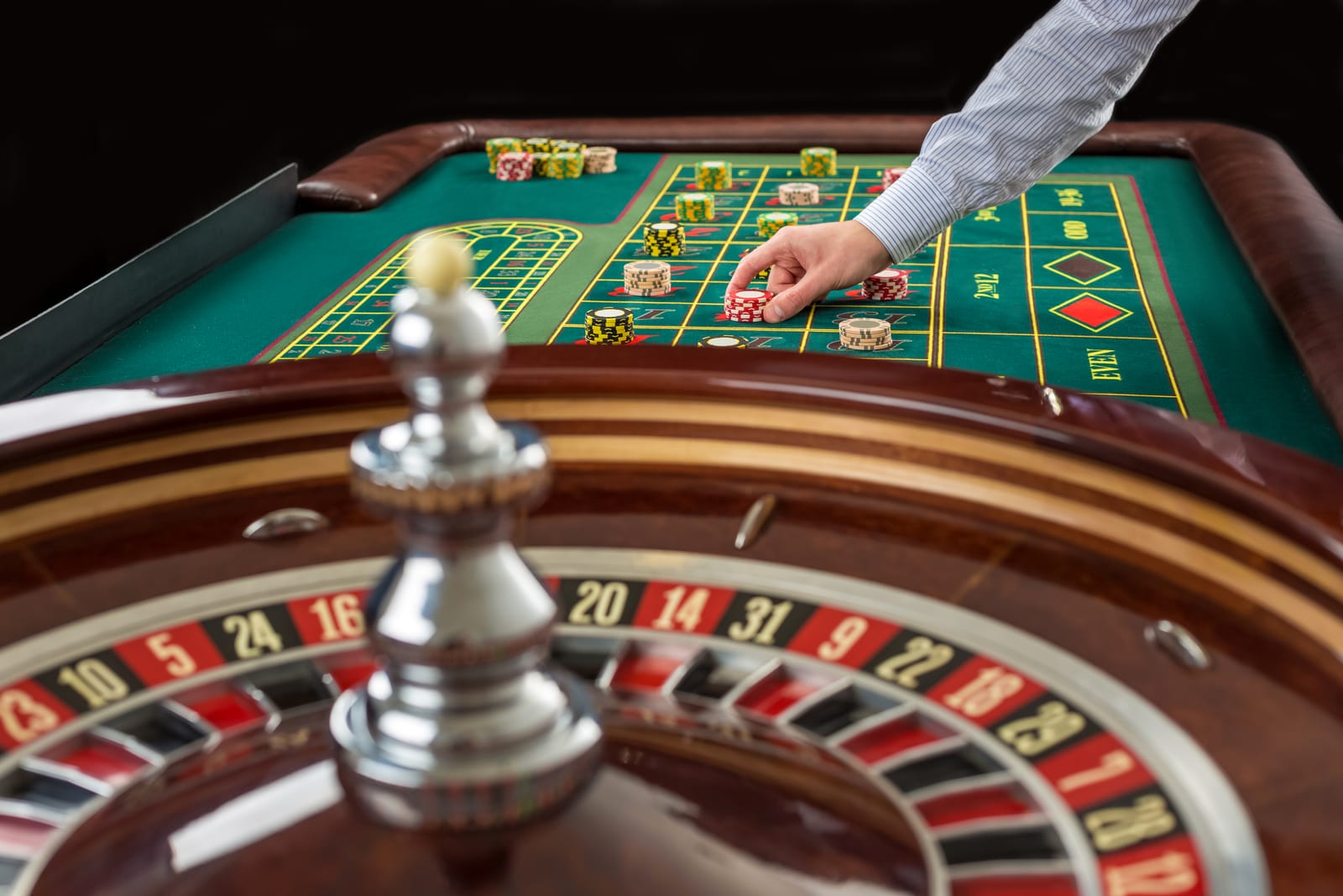 A dealer placing chips on a roulette table
