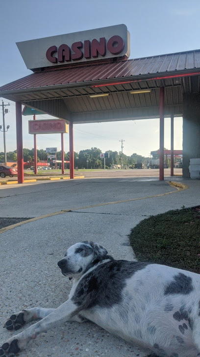Photo 1 of Cash Magic Silver Fox, Denham Springs