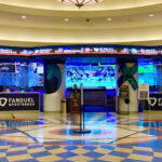 FanDuel Sportsbook at Tioga Downs Casino Resort en Nichols