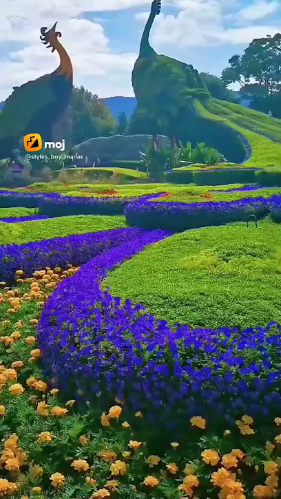 Downtown Bingo en Fairbanks