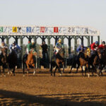 307 Horse Racing, LLC en Gillette